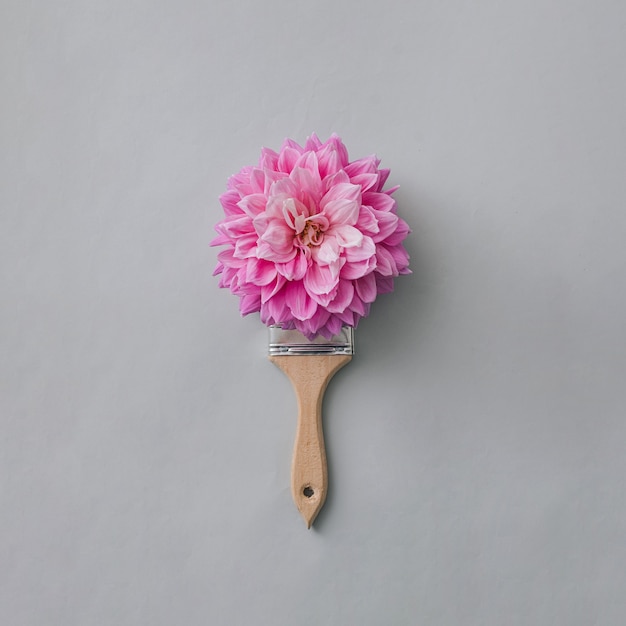 Różowy kwiat dalii pokrywający włosie pędzla z drewnianym uchwytem poniżej w koncepcji kreatywności, wystroju wnętrz, majsterkowania lub renowacji na szarym tle