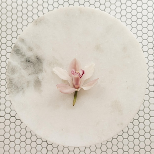 Różowy pączek kwiatowy na okrągłym marmurowym kamiennym stole na białym tle mozaiki sześciokątnej płytki podłogowej