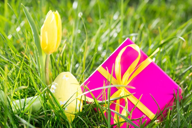 Różowy Prezenta Pudełko Z Easter Jajkiem I żółtym Tulipanem