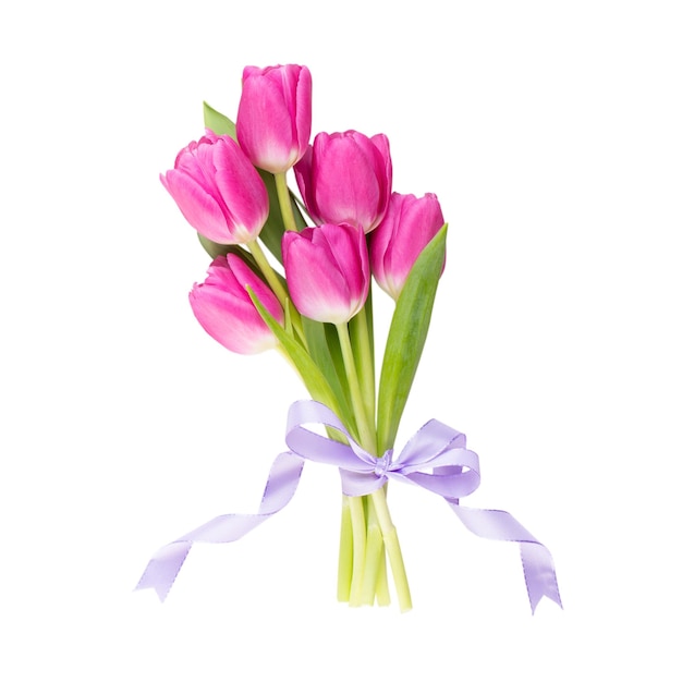 Różowy tulipan na białym tle Kartka z życzeniami wielkanocnymi i wiosennymi