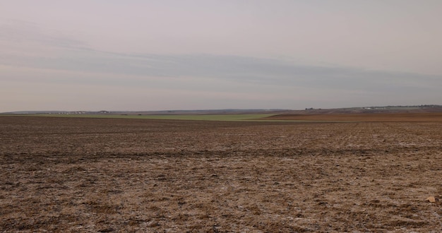 Zdjęcie roztopienie na polach, na których stopił się śnieg i widoczne są rośliny i gleba