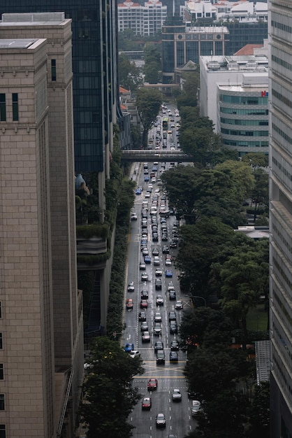 Ruchliwa ulica z mnóstwem samochodów