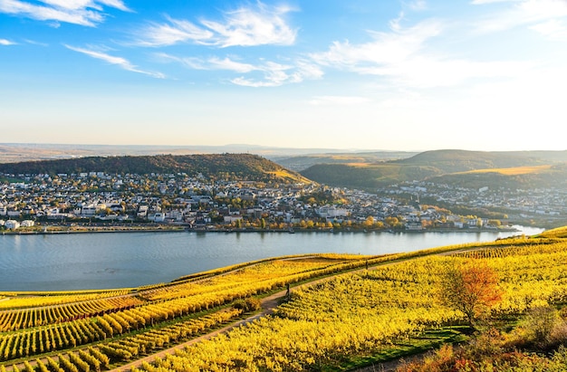 Rudesheim am Rhein Hesja Niemcy Górna dolina środkowego Renu Mittelrhein kolorowe winnice żółty jesień błękitne niebo Panorama widok na Bingen Nadrenia palatynat