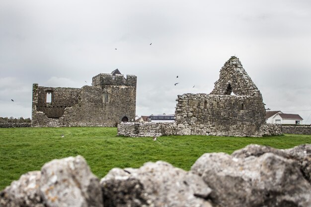 Zdjęcie ruin_ireland