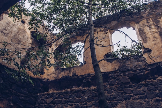 Ruiny ceglanych ścian zarośniętych budynku Stary zrujnowany dom Zdjęcie stockowe Opuszczone ruiny w Chndzoresku starożytne miasto jaskini w skałach górskich Armenia krajobraz atrakcją