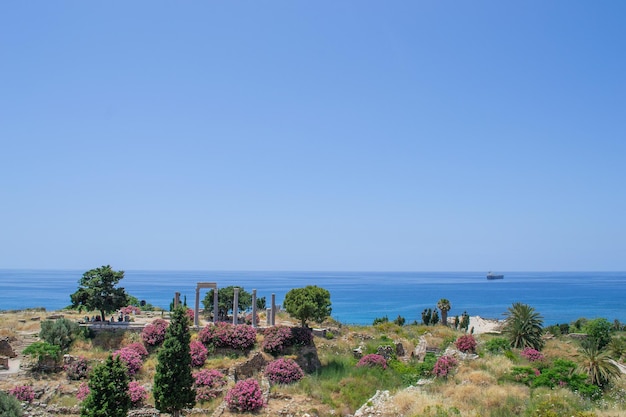 Ruiny fenickie byblos liban stary zamek wybrzeże śródziemnomorskie