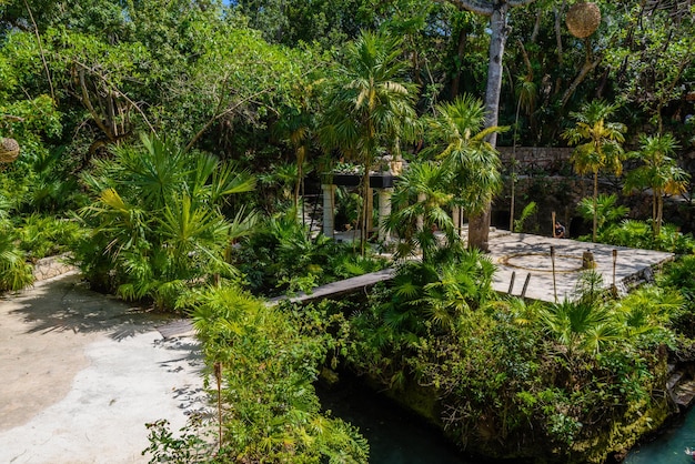 Ruiny Majów W Tropikalnym Lesie Dżungli Playa Del Carmen Riviera Maya Yu Atan Meksyk