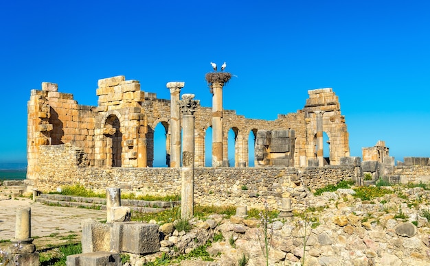 Ruiny rzymskiej bazyliki w Volubilis, wpisanym na Listę Światowego Dziedzictwa UNESCO w Maroku