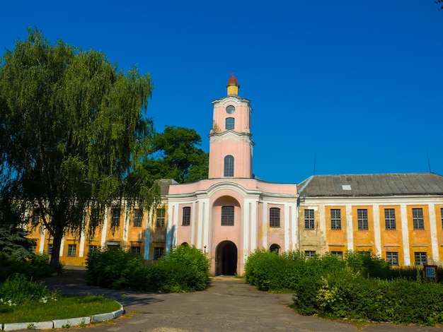 Ruiny starego zamku Ołyka wśród zarośli