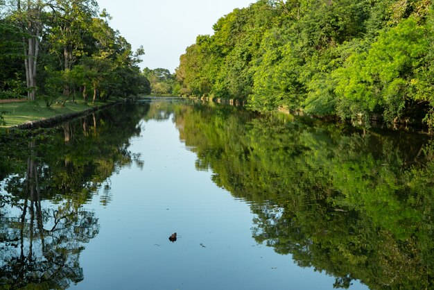 Ruiny Starożytnego Miasta Anuradhapura, Sri Lanka.