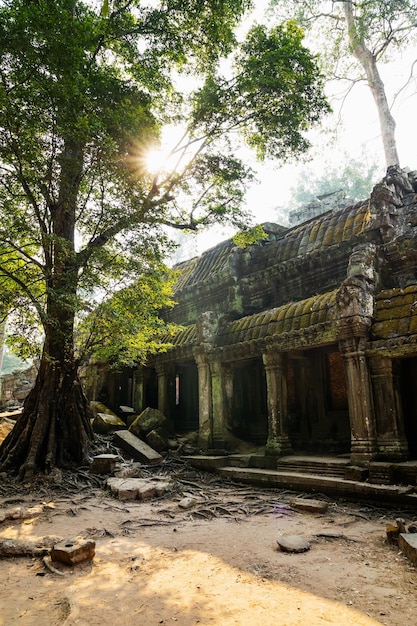 Ruiny starożytnej świątyni Khmerów w Siem Reap w Kambodży