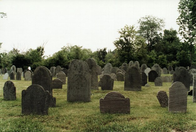 Zdjęcie ruiny starych ruin