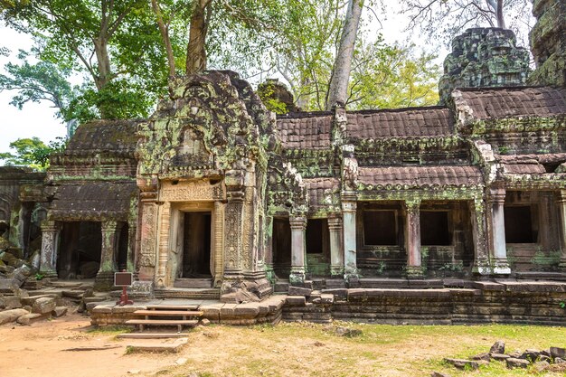 Ruiny świątyni Ta Prohm w Angkor Wat w Siem Reap