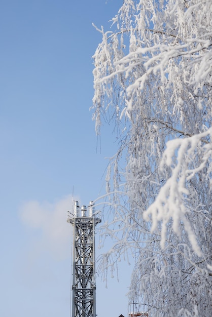 Rury gazowe na tle drzew pokrytych śniegiem i szronem