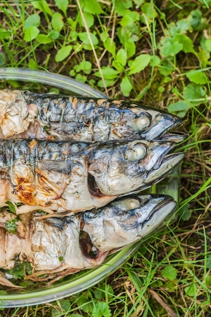 Ryba makrela gotowana na grillu w szklanym talerzu na trawie