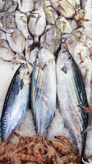 Rynek owoców morza i surowych ryb. Zdjęcie koncepcji żywności.