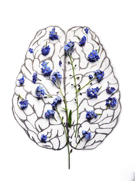 Rysunek ołówkiem ludzkiego mózgu z niebieskimi kwiatami