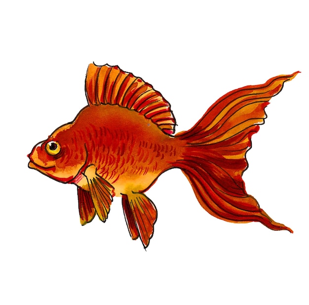 Zdjęcie rysunek złotej rybki z czerwonym ogonem