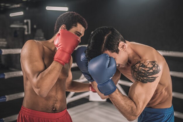 Rywalizacja. Dwóch kickbokserów walczących na ringu bokserskim i wyglądających agresywnie
