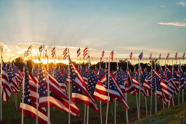 Rząd amerykańskich flag jest ustawiony na polu, a za nimi zachodzi słońce.