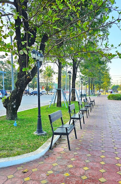 Zdjęcie rząd ławek w parku wzdłuż utwardzonej ścieżki
