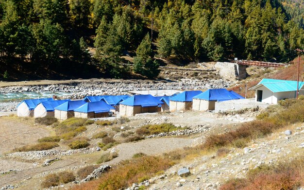 Zdjęcie rząd namiotów na terenie obozu baspa river w chitkul - ostatniej wiosce na granicy indo-tybetańskiej przeciwko drzewom