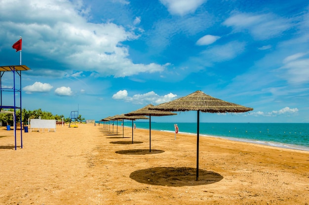 Rząd okrągłych słomianych parasoli na plaży.