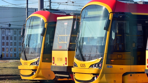 Zdjęcie rząd żółtych autobusów z numerami 378 z przodu.
