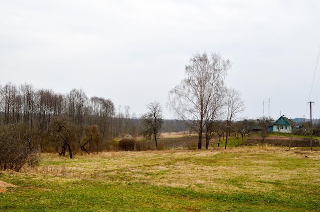 Rzeczny mały wiejski dom i pole na krajobrazie brzegu rzeki