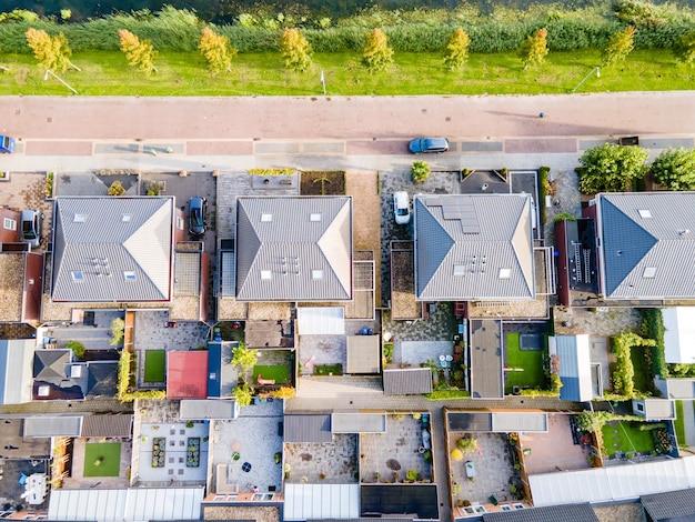 Rzęd wielokolorowych parasoli wiszących na drzewach
