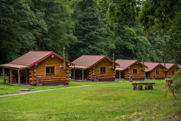 Rzędy drewnianych domków w bujnie zielonym lesie w Czechach