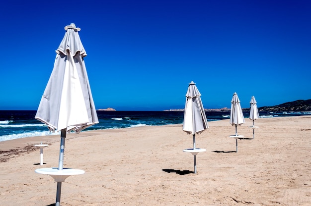 Rzędy parasoli na plaży
