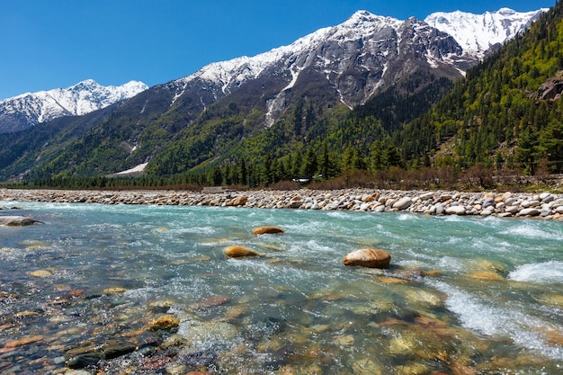 Rzeka Baspa w Himalajach