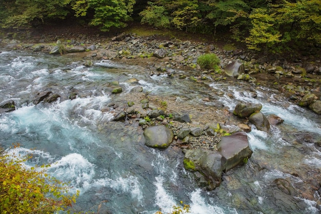rzeka daiya w parku narodowym nikko