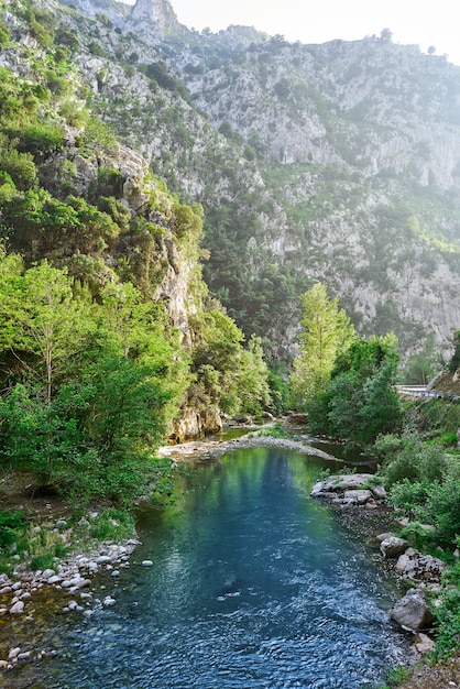 Rzeka Deva w Kantabrii w Hiszpanii