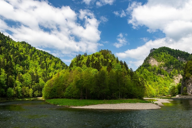 Rzeka Dunajec w Pienińskim Parku Narodowym w Polsce na wiosnę