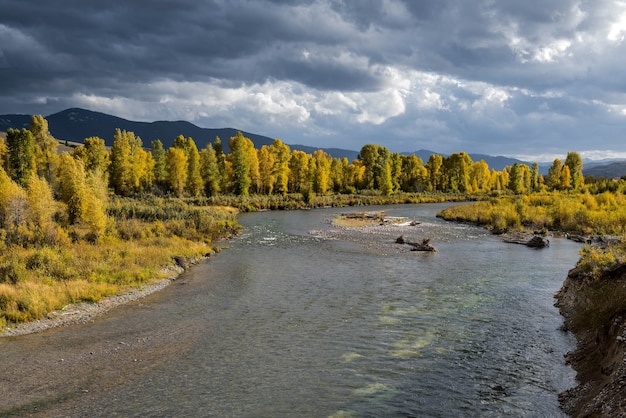 Rzeka Gros Ventre