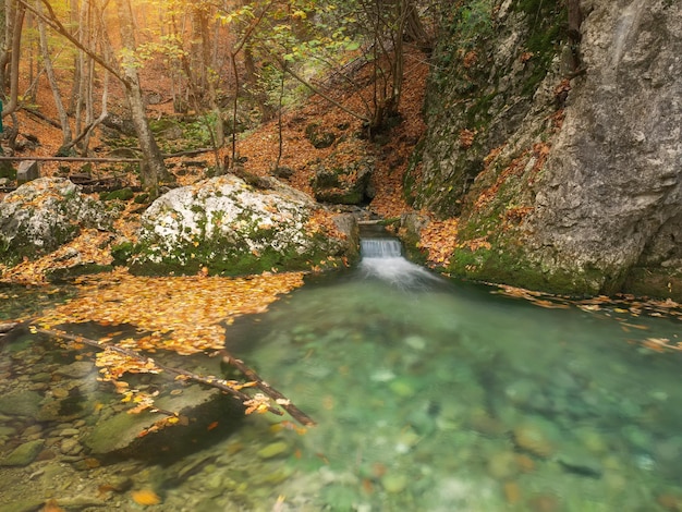 Zdjęcie rzeka jesienna