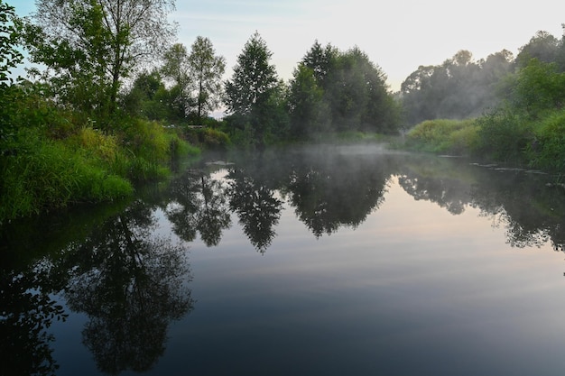 Rzeka jest pokryta poranną mgłą o wschodzie słońca otoczona gęstym zielonym lasem Dzika przyroda Letni krajobraz Aktywne weekendowe wakacje dzika przyroda na świeżym powietrzu