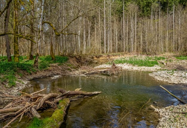 Rzeka Kupfer wiosną