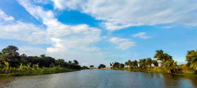 rzeka plażowy palma błękitne niebo wspaniały widok white cloud image