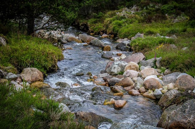 Zdjęcie rzeka płynąca przez skały w lesie