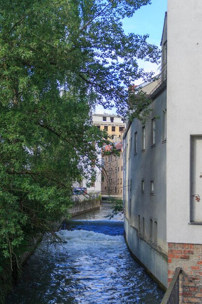 Zdjęcie rzeka pośród drzew w mieście