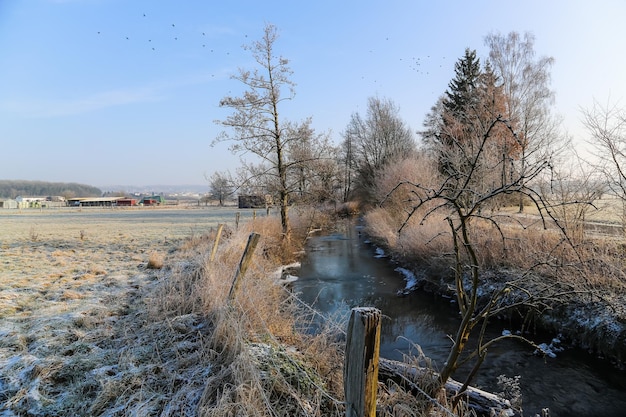 Rzeka Pośrodku Pola W Zimie