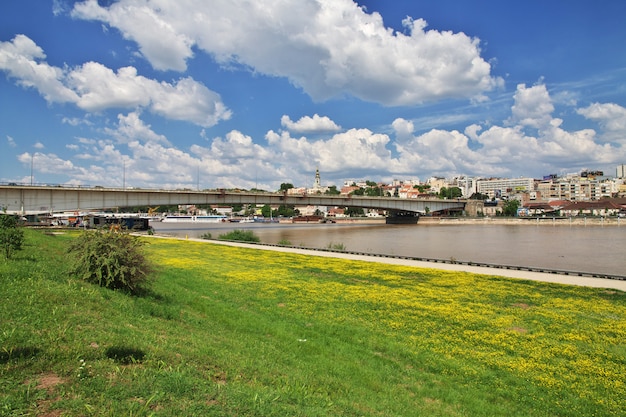 Rzeka Sava w Belgradzie, Serbia