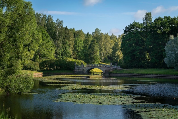 Rzeka Slavyanka i most Viscontiev w parku Pawłowskim Pawłowsk Sankt Petersburg, Rosja