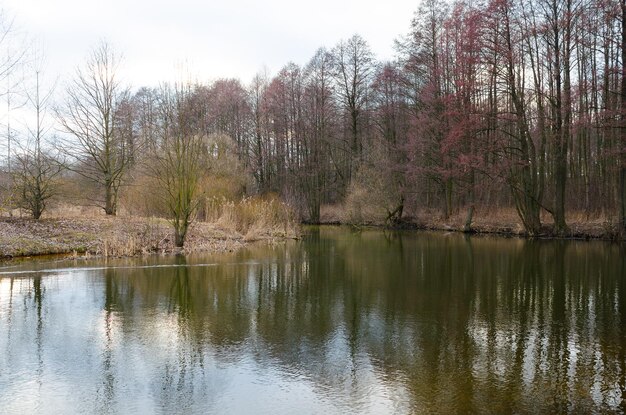 Rzeka Świsłocz płynie w Mińsku i tworzy malownicze zakątki Białorusi