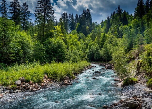 Zdjęcie rzeka w alpskim krajobrazie