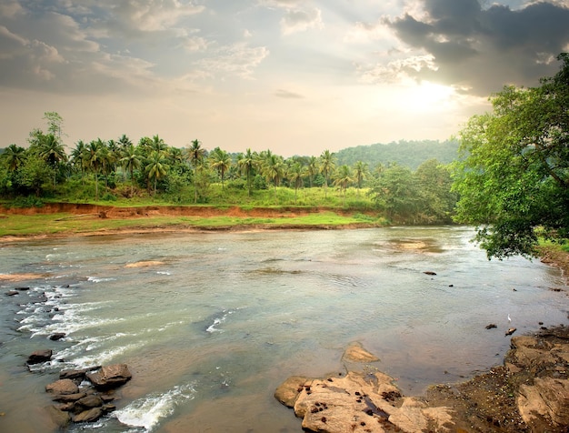 Rzeka w dżungli Sri Lanki o zachodzie słońca