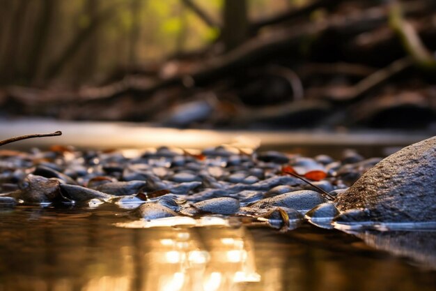 Zdjęcie rzeka w lesie wygenerowana przez sztuczną inteligencję